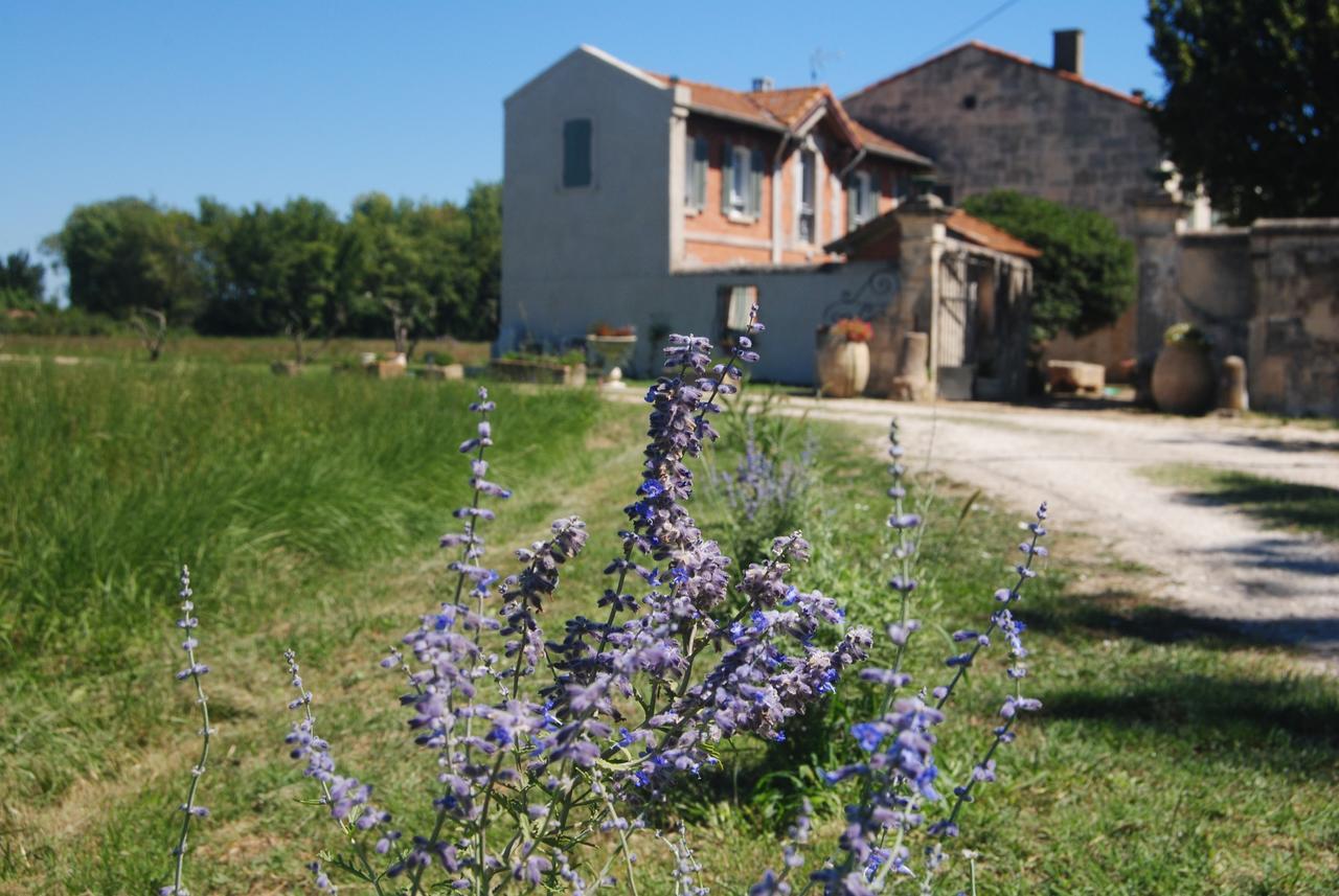 Le Mas Marguerite Arles Extérieur photo